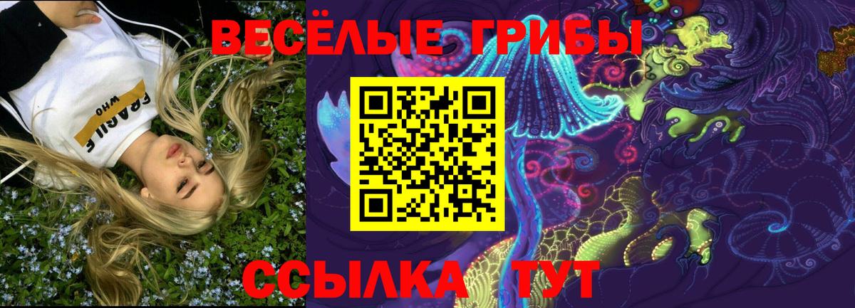 Ессентуки  Псилоцибиновые грибы Magic Shrooms  Галлюциногенные грибы Magic Shrooms  Вход с VPN 